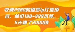 收费2980的塔罗ip打造项目，单价198-999不等，5天赚了2000块【揭秘】-甬战资源库