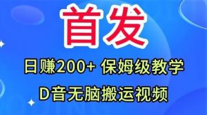 首发，抖音无脑搬运视频，日赚200+保姆级教学【揭秘】-甬战资源库