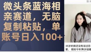微头条蓝海相亲赛道,无脑复制粘贴,单账号日入100+-甬战资源库