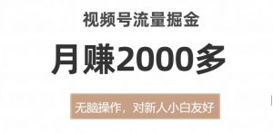 视频号流量掘金，无脑操作，对新人小白友好，月赚2000多【揭秘】-甬战资源库