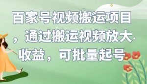 百家号视频搬运项目，通过搬运视频放大收益，可批量起号【揭秘】-甬战资源库