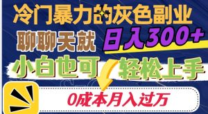 冷门暴利的副业项目，聊聊天就能日入300+，0成本月入过万【揭秘】-甬战资源库