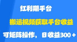 搬运视频获取平台收益，平台红利期，附保姆级教程【揭秘】-甬战资源库