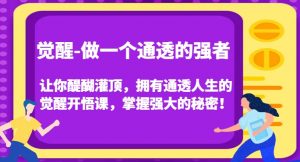 觉醒-做一个通透的强者，让你醍醐灌顶，拥有通透人生的觉醒开悟课，掌握强大的秘密！-甬战资源库