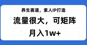 养生赛道，素人IP打造，流量很大，可矩阵，月入1w+【揭秘】-甬战资源库