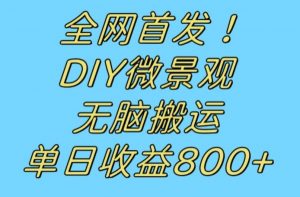 全网首发冷门赛道！DIY微景观，无脑搬运视频，日收益800+【揭秘】-甬战资源库
