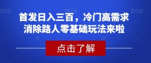 首发日入三百，冷门高需求消除路人零基础玩法来啦【揭秘】-甬战资源库