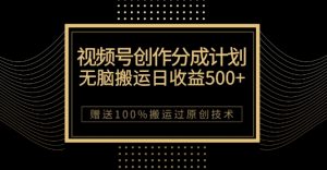 最新视频号创作分成计划，无脑搬运一天收益500+，100%搬运过原创技巧【揭秘】-甬战资源库