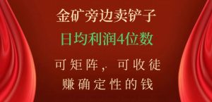 金矿旁边卖铲子，赚确定性的钱，可矩阵，可收徒，日均利润4位数【揭秘】-甬战资源库