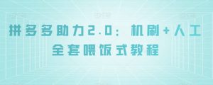 拼多多助力2.0：机刷+人工全套喂饭式教程【揭秘】-甬战资源库