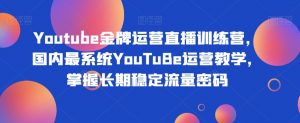 Youtube金牌运营直播训练营,国内最系统YouTuBe运营教学,掌握长期稳定流量密码-甬战资源库