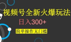 视频号最新爆火玩法，日入300+，简单操作无门槛【揭秘】-甬战资源库