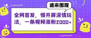全网首发,慢开屏深情玩法,一条视频涨粉2000+【揭秘】-甬战资源库