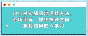 小红书实战落地运营方法，系统训练，抓住搞钱方向，跟有结果的人学习-甬战资源库