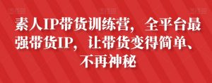 素人IP带货训练营,全平台最强带货IP,让带货变得简单、不再神秘-甬战资源库