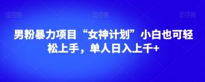 男粉暴力项目“女神计划”小白也可轻松上手,单人日入上千+【揭秘】-甬战资源库