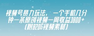 视频号暴力玩法，一个手机几分钟一条原创视频一周收益3800+（附820G视频素材）-甬战资源库