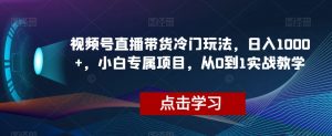 视频号直播带货冷门玩法,日入1000+,小白专属项目,从0到1实战教学【揭秘】-甬战资源库