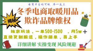 利用电商平台冬季销售取暖用品欺诈行为合理制裁店铺，单日入900+【仅揭秘】-甬战资源库