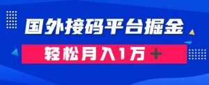 通过国外接码平台掘金：成本1.3，利润10＋，轻松月入1万＋【揭秘】-甬战资源库