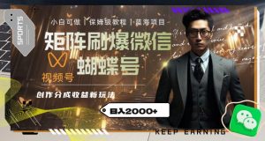 矩阵刷爆微信蝴蝶号创作者分成计划收益的新玩法，日入2000+【揭秘】-甬战资源库