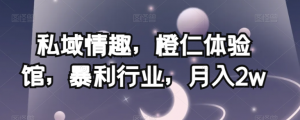 私域情趣,橙仁体验馆,暴利行业,月入2w【揭秘】-甬战资源库