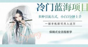 冷门蓝海项目，操作简单，小白3分钟上手，多种引流方式，保姆式全流程教学【揭秘】-甬战资源库