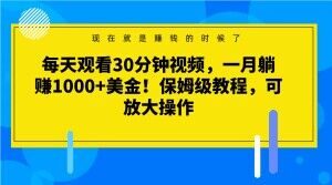 每天观看30分钟视频，一月躺赚1000+美金！保姆级教程，可放大操作【揭秘】-甬战资源库
