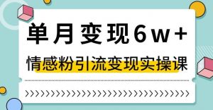单月变现6W+，抖音情感粉引流变现实操课，小白可做，轻松上手，独家赛道【揭秘】-甬战资源库