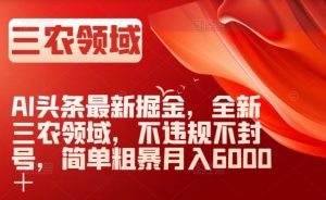 AI头条最新掘金，全新三农领域，不违规不封号，简单粗暴月入6000＋【揭秘】-甬战资源库