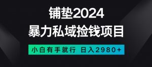 暴力私域捡钱项目,小白无脑操作,日入2980【揭秘】-甬战资源库