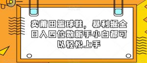 卖莆田篮球鞋，暴利掘金日入四位数新手小白都可以轻松上手【揭秘】-甬战资源库