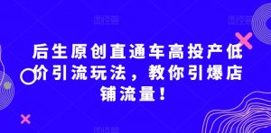 后生原创直通车高投产低价引流玩法，教你引爆店铺流量！-甬战资源库