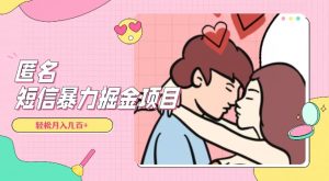 全网首发，揭秘超冷门匿名短信项目，通过信息差日入几百+【揭秘】-甬战资源库