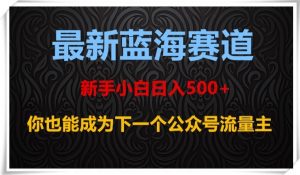 最新蓝海赛道，新手小白日入500+，你也能成为下一个公众号流量主【揭秘】-甬战资源库