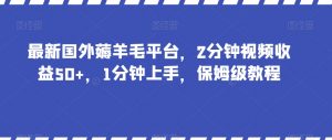 最新国外薅羊毛平台，2分钟视频收益50+，1分钟上手，保姆级教程【揭秘】-甬战资源库