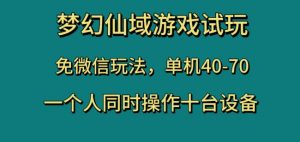 梦幻仙域游戏试玩,免微信玩法,单机40-70,一个人同时操作十台设备【揭秘】-甬战资源库