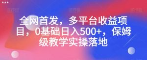 全网首发,多平台收益项目,0基础日入500+,保姆级教学实操落地【揭秘】-甬战资源库