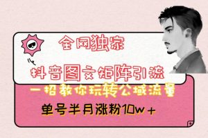 全网独家抖音图文矩阵引流,一招教你玩转公域流量,单号半月涨粉10w+【揭秘】-甬战资源库