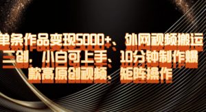 单条作品变现5000+、外网视频搬运二创，小白可上手，10分钟制作爆款高原创视频，矩阵操作【揭秘】-甬战资源库