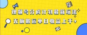 视频号最新爆火赛道玩法，只需无脑搬运，轻松过原创，单日收益上千【揭秘】-甬战资源库