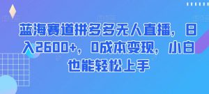 蓝海赛道拼多多无人直播，日入2600+，0成本变现，小白也能轻松上手【揭秘】-甬战资源库
