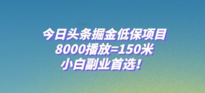 今日头条掘金低保项目,8000播放=150米,小白副业首选【揭秘】-甬战资源库