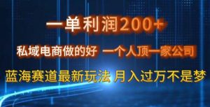 一单利润200私域电商做的好，一个人顶一家公司蓝海赛道最新玩法【揭秘】-甬战资源库