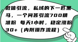 怎么搞精准创业粉?微信新赛道,每天一小时,利用Ai一个问答日引100精准粉-甬战资源库