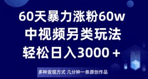 60天暴力涨粉60W，中视频另类玩法，日入3000＋，几分钟一条原创作品多种变现方式-甬战资源库