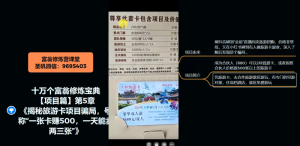 十万个富翁修炼宝典之5.揭秘旅游卡项目骗局，号称“一张卡赚500，一天能卖两三张”-甬战资源库
