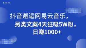 抖音邂逅网易云音乐，另类文案4天狂吸5W粉，日赚1000+【揭秘】-甬战资源库