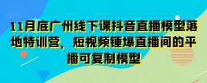 11月底广州线下课抖音直播模型落地特训营，短视频锤爆直播间的平播可复制模型-甬战资源库