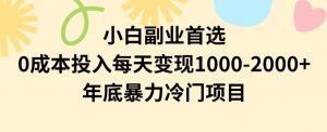 小白副业首选，0成本投入，每天变现1000-2000年底暴力冷门项目【揭秘】-甬战资源库